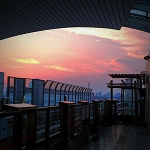 木已成舟(Prod.by MORROW)