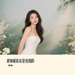 我知道你还是爱我的 (Remix)
