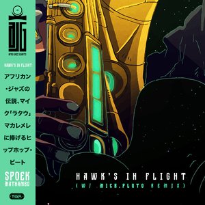 Hawk's in Flight (AC La Clim Remix)