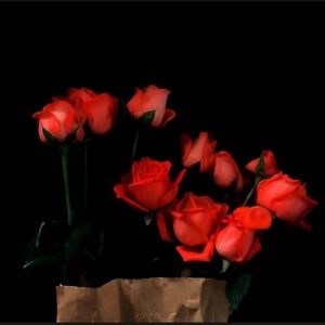 多想在平庸的生活拥抱你