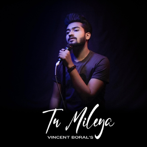 Tu Mileya (Lofi Mix)