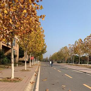 世间美好与你环环相扣