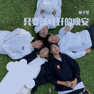 只要叶落好的晚安