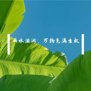 雨水滋润，万物充满生机(by ML.ROSE)