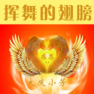 挥舞的翅膀