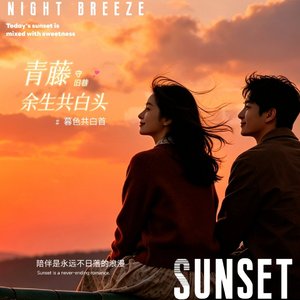 白头巷_暮色共白首.wav