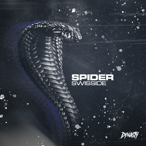 Spider (Original Mix)