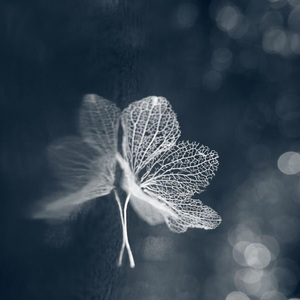 深深的怀念 (睡眠钢琴曲)