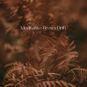 Meditative Brown Drift
