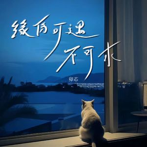 缘分可遇不可求