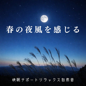 Enchantment (波)