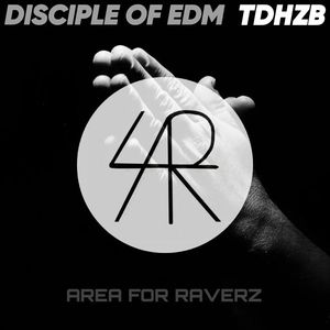 没有理由(TDHZB Remix)