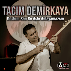 Dostum Sen Bu Aşkı Anlayamazsın