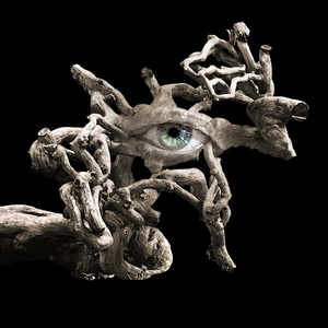 Минск, Пинск и Северодвинск