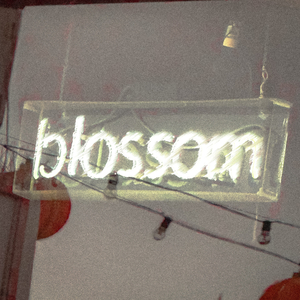 blossom