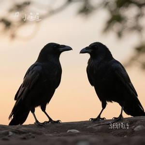 乌鸦情话 (Cover 莫智钦)