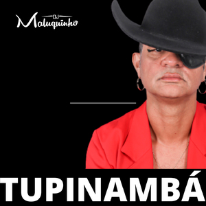 Tupinambá
