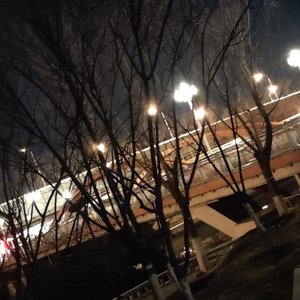 如果你愿意就点点头