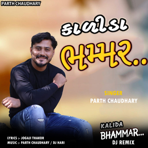 Kalida Bhammar (DJ Remix)
