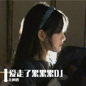爱走了累累累DJ