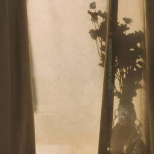 轮回之境short ver.