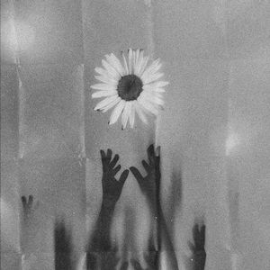 深深（Love you deeply）