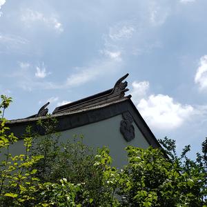 山中无甲子