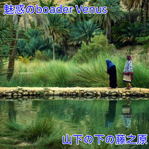魅惑のboader Venus
