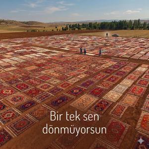 Bir Tek Sen Dönmüyorsun