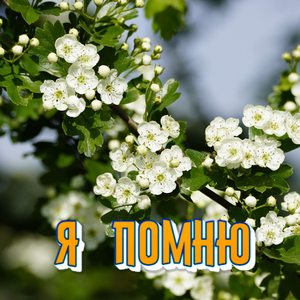 УХОДЯЩАЯ ОСЕНЬ