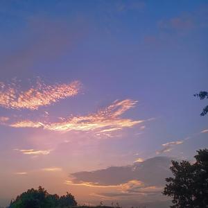 落空（翻自 印子月）