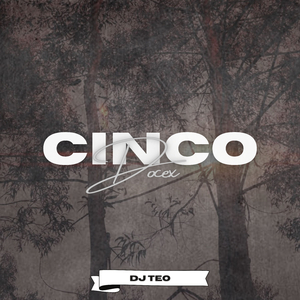 Cinco Docex