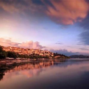 在爱你这件事是我不够坚决