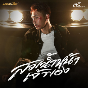 สมน้ำหน้าเจ้าของ