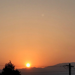 シャーロックホームズになれなくて (feat. Rossy, HIROMI & さむでぃ)