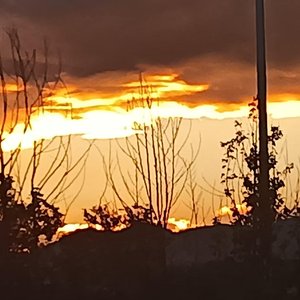 从无所不聊到彼此打扰