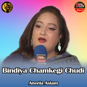 Bindiya Chamkegi Chudi (1)