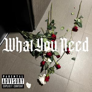 WHAT YOU NEED
