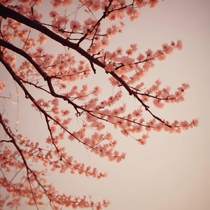 懐かしい気持ち