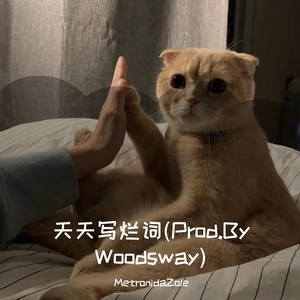 天天写烂词(Prod.By Woodsway)