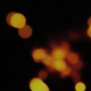 你把它全都带走