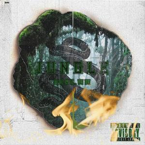 Jungle (with Shoddywinner6, King Steez tha Savior, Lwazi, Cocaine.exe)