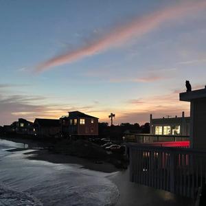 Beach Day (Free Sumo)