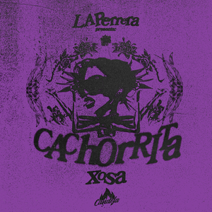 CACHORRITA