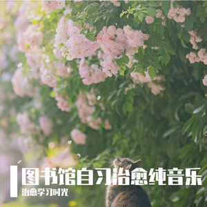 图书馆闭馆舒缓纯音乐