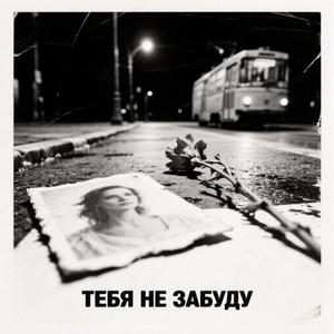 Тебя не забуду