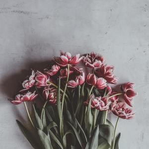 承诺（feat.Chess Nerd) (prod by Lv9)