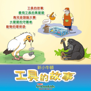 鸟儿金头脑大赛