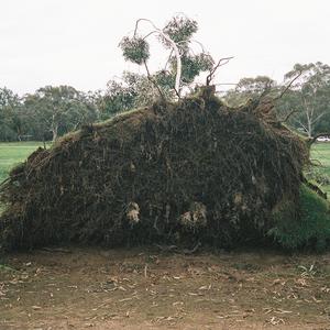 Stevie (feat. MAX BLACK)