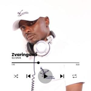 Zvaringana 1 (Radio Edit)